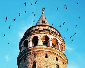 Galata Tower Surrounded By Birds diamond painting