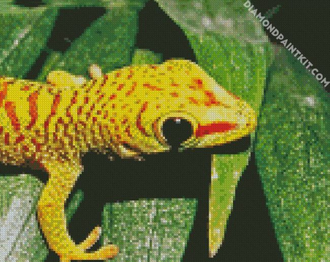 Gecko Reptile diamond painting