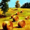 Golden Abby Bales diamond painting