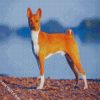 Basenji Animal diamond painting