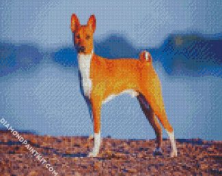 Basenji Animal diamond painting