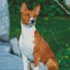 Basenji Dog diamond painting