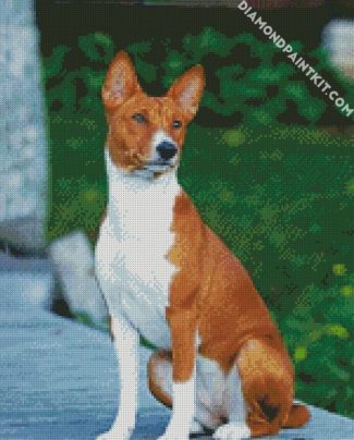 Basenji Dog diamond painting