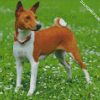 Basenji Dog Animal diamond painting