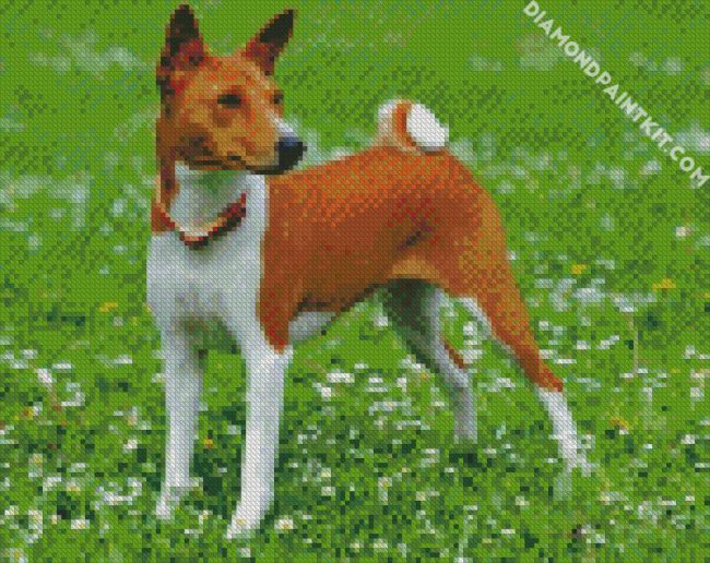 Basenji Dog Animal diamond painting