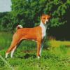 Basenji Dog Breed diamond painting