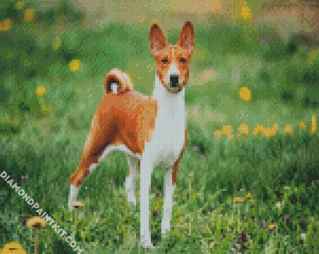 Basenji Dog Breed Animal diamond painting