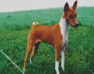 Basenji Dog diamond painting