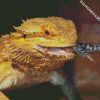 Bearded Dragon Eating diamond painting