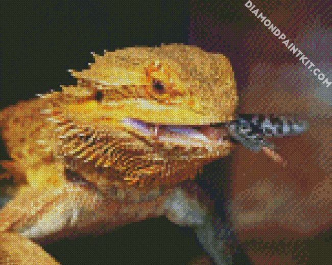 Bearded Dragon Eating diamond painting