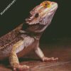 Bearded Dragon Lizard diamond painting