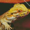 Bearded Dragon Lizard Eating diamond painting