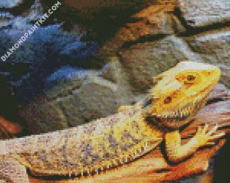 Bearded Dragon Reptile diamond painting