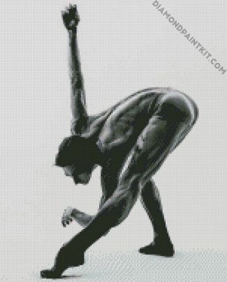 Black And White Ballerino diamond painting