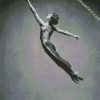 Black And White Ballerino Dancing diamond painting