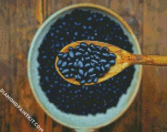 Black Beans diamond painting