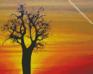 Boab Tree At Sunset diamond painting