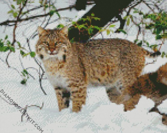 Bobcat In The Snow diamond painting