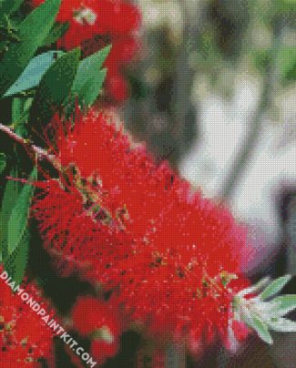 Bottlebrush Plants diamond painting