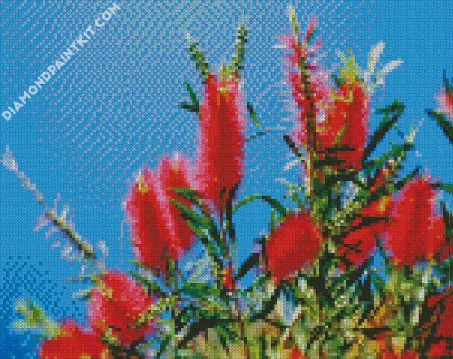 Bottlebrushes diamond painting