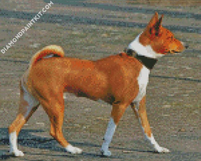 Brown Basenji Dog diamond painting