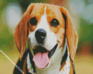 Cute Beagle Dog Head diamond painting