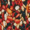 Different Types Of Beans diamond painting