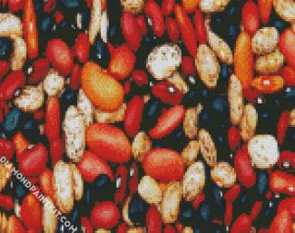 Different Types Of Beans diamond painting