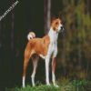 Dog Bread Basenji diamond painting