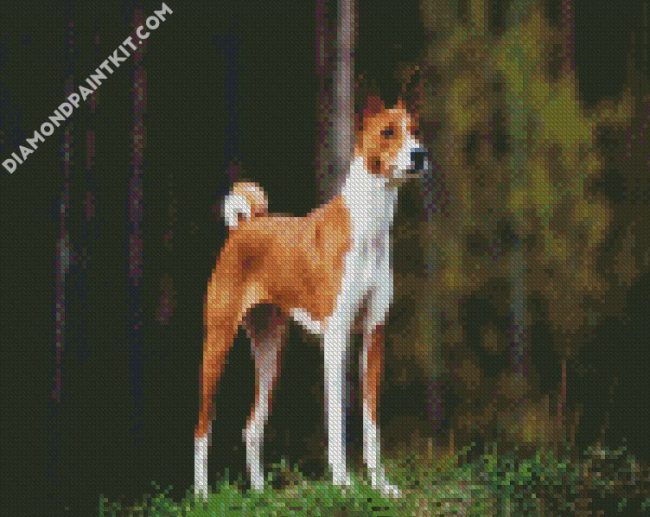 Dog Bread Basenji diamond painting