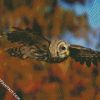 Flying Barred Owl diamond painting