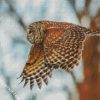 Flying Barred Owl Bird diamond painting