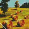 Golden Abby Bales diamond painting