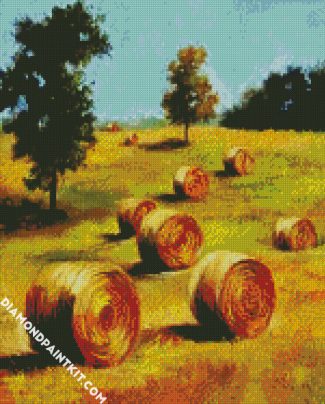 Golden Abby Bales diamond painting