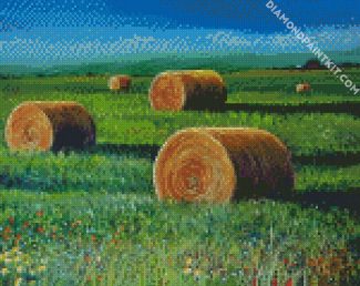 Abby Bales In Farmland diamond painting