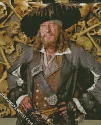 Hector Barbossa diamond painting