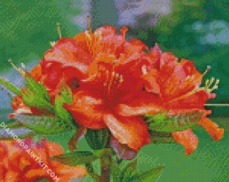 Orange Azaleas diamond painting