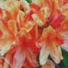 Orange Azaleas Flowers diamond painting