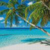 Palm Tree In The Bahamas Beach diamond painting