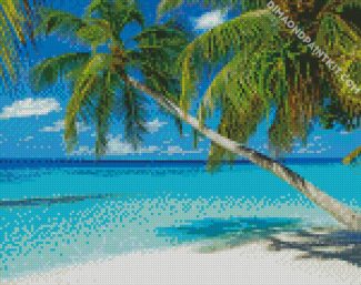 Palm Tree In The Bahamas Beach diamond painting