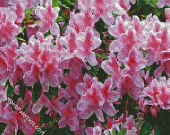 White And Pink Azaleas Flowers diamond painting