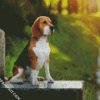 Beagle Dog diamond painting