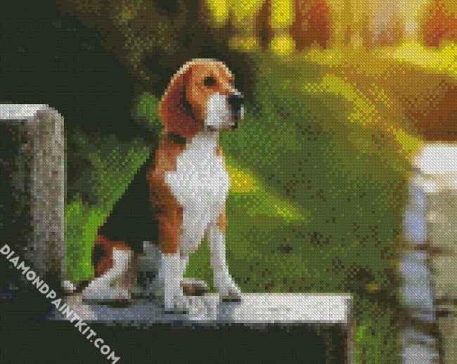 Beagle Dog diamond painting