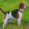 Beagle Dog Breed diamond painting