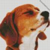 Beagle Dog Head diamond painting