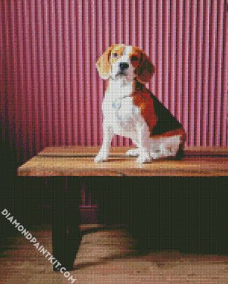 Beagle Dog On The Table diamond painting