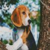 Beagle Dog Pet diamond painting