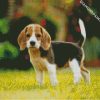 Beagle Dog Puppy diamond painting