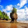 Hopewell Rocks Provincial Park Canada Landscape diamond painting