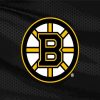 Ice Hockey Bruins Logo diamond painting